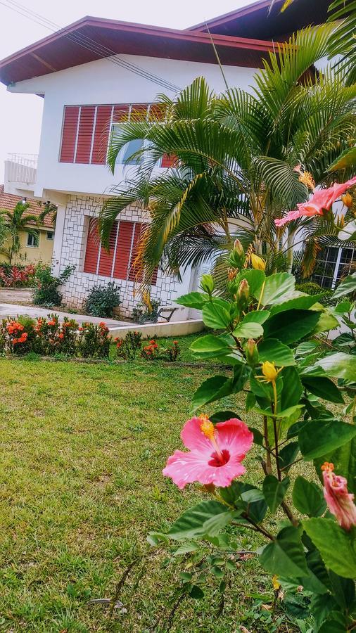 Hotel Jacks Hill Tropical Arcadia Kingston Exterior foto