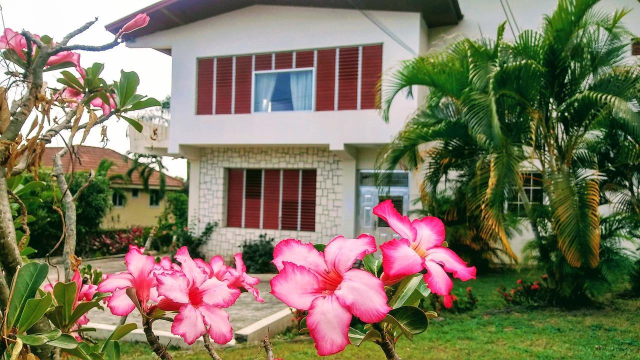 Hotel Jacks Hill Tropical Arcadia Kingston Exterior foto